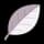 White Herb