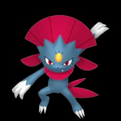 Weavile
