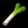 Leek