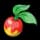 Leppa Berry