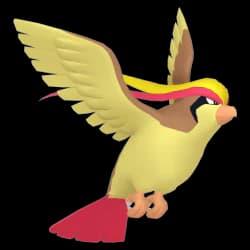 Pidgeot
