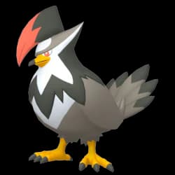 Staraptor