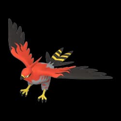 Talonflame